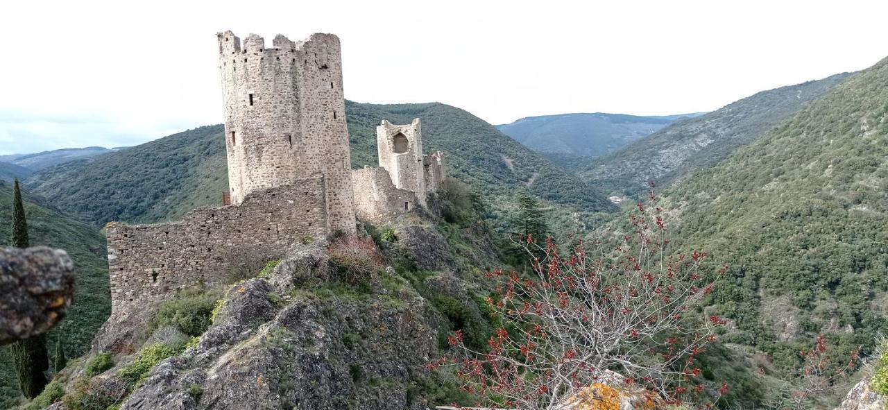 Appartamento La Douce Cathare Carcassonne Esterno foto